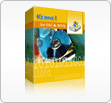 Kernel Windows Data Recovery - Home User 1 Year License